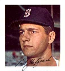 1964 Wheaties Player Stamp Carl Yastrzemski